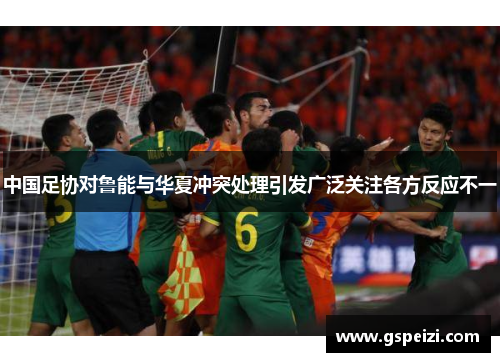 中国足协对鲁能与华夏冲突处理引发广泛关注各方反应不一